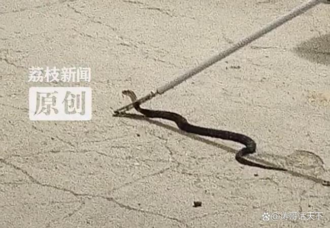 热点生活 第83页