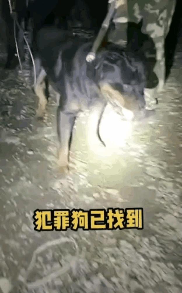 娱乐生活 第78页